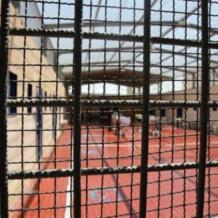 هيئة الأسرى: ثلاثة أسرى يعانون من أوضاع صحية حرجة في سجني "عوفر، ومجدو"