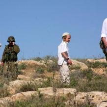 إصابة أربعة مواطنين باعتداء جنود الاحتلال عليهم بالضرب في طمون جنوب شرق طوباس