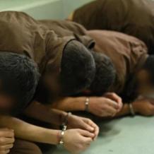 نادي الأسير يرحب بتقرير المقررة الأممية "فرانشيسكا ألبانيز" حول التعذيب في الأراضي الفلسطينية المحتلة