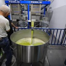 معصرة الذهب الأخضر تحصد شهادة الجودة.. كيف وصلت لهذا الإنجاز؟