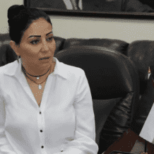 أبو لبن تقدم أوراق اعتمادها سفيرة لدولة فلسطين لدى البوسنة والهرسك