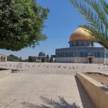 الاحتلال يواصل إغلاق المسجد الأقصى لليوم الـ17