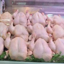 خاص | غلاء أسعار الدواجن في رمضان.. أزمة إنتاج أم فوضى تسعير؟