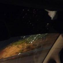 مستوطنون يهاجمون مركبات المواطنين جنوب نابلس