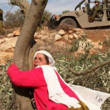 شؤون المرأة: في يوم الأرض تتجذر المرأة الفلسطينية كأرضها صامدة وحارسة للهوية والوجود