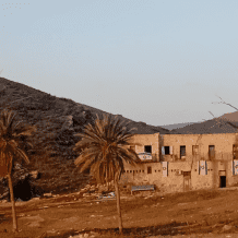 "التربية": تدمير مدرسة المالح الأساسية في طوباس جريمة جديدة بحق التعليم