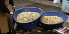 استقرار اسعار الذهب بفضل التوترات الكورية