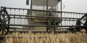 ارتفاع أسعار الحبوب ينذر بأزمة غذاء في الولايات المتحدة