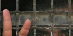 جنين: وقفة تضامنية مع الأسرى المضربين عن الطعام في عرابة