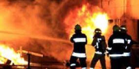 نفوق 1500 طائر إثر اندلاع حريق بمزرعة طيور جنوب جنين