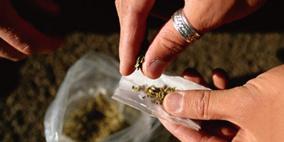 حملة لمحاربة تجار المخدرات