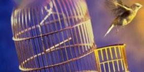 الكاتب نمر القدومي -رواية "هي، أنا والخريف "لسلمان ناطور