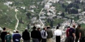 مستوطنو 'بيتار' يغرقون أراضي نحالين بالمياه العادمة