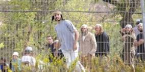 مستوطنون يقتحمون اراض غرب بيت لحم بحماية قوات الاحتلال