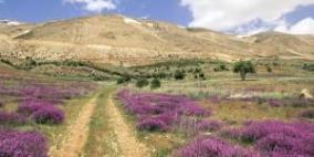 العثور على حقول الغاز الطبيعي في المياه اللبنانية يؤجج سباقا على التراخيص