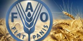 فاو : اسعار الغذاء تتراجع إلى أدنى قيمة لها منذ أيلول 2009