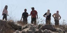 مستوطنون يقتلعون 40 شجرة زيتون في قصرة جنوب نابلس