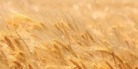 الفلسطينيون لا يزرعون سوى 10% مما يأكلون