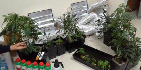 بالصور: الشرطة تضبط مستنبتا للمواد المخدرة قرب رام الله