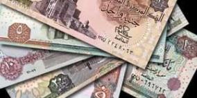 مساعد لمرسي: الجنيه المصري لن ينهار