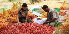 "الحياني" يكسو غزة بالأحمر