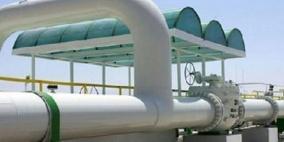 6 دول عربية تعتمد على الغاز الطبيعي في توليد الطاقة