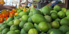 غزة: الليمون سلعة نادرة في موطنها