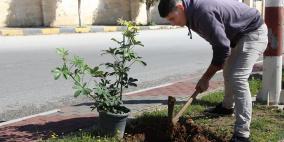 النجاح التطوعية تُنظم نشاط لزراعة الأشجار بالتعاون مع بلدية نابلس