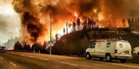 Pitchcard للحصول على ردود فعل سريعة حول فكرتك