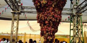 مهرجان العنب في الخليل