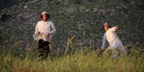 مستوطنون يطاردون رعاة اغنام في يطا