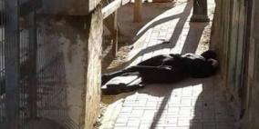 استشهاد الفتاة هديل الهشلمون