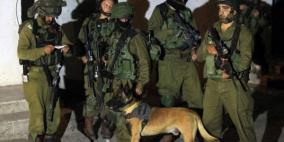 الاحتلال يعتقل مواطنين من طوباس وبيت لحم