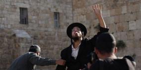 مراسلنا: مستوطنون يعتدون على مواطنين اثنين وسط الخليل