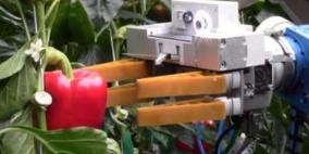 ذراع آلية "ذكية" تفرز الفاكهة دون إهدار للثمار الهشة