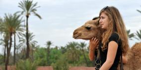 هبوط طفيف في عدد السياح الوافدين إلى المغرب