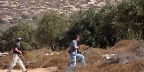 مستوطنون يقطعون 60 شجرة زيتون في نابلس