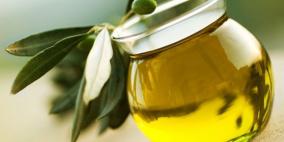 الأردن.. ارتفاع إنتاج زيت الزيتون في 2015