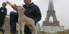 احتجاج للمزارعين الفرنسين امام برج ايفل ، للتعبير عن إحباطهم على تزايد الهجمات من قبل الذئاب