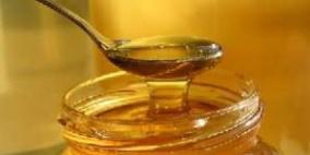 طولكرم: ورشة عمل حول تسويق العسل