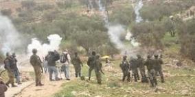 مستوطنون يقتلعون مئات من أشتال الزيتون واللوزيات شرق نابلس