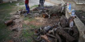 الاستعداد للشتاء