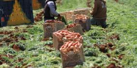 جولة صحفية لمشاريع الوكالة الأمريكية للتنمية الدولية في محافظة طوباس