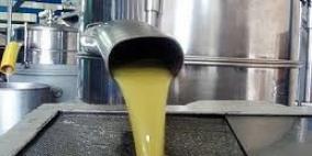 الإحصاء: ارتفاع كمية زيت الزيتون في موسم عام 2012 مقارنة بالموسم السابق