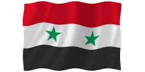 وقفة تضامنية مع سوريا في جنين