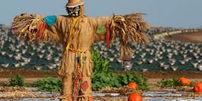 "فزاعة" ترعب جيش الاحتلال