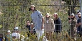 مستوطنون يلقون زجاجة حارقة على منزل في بورين