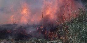 حريق كبير في أرض زراعية برفح