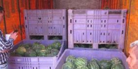 ضبط بطيخ مهرب من المستوطنات في نابلس