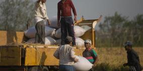 مصر تتجه لإقامة مركز عالمي لتخزين الحبوب